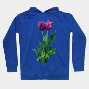 Two Purple Tulips Hoodie